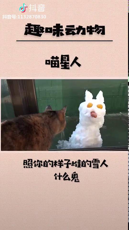 你確定照著我得樣子堆的雪人貓雪人