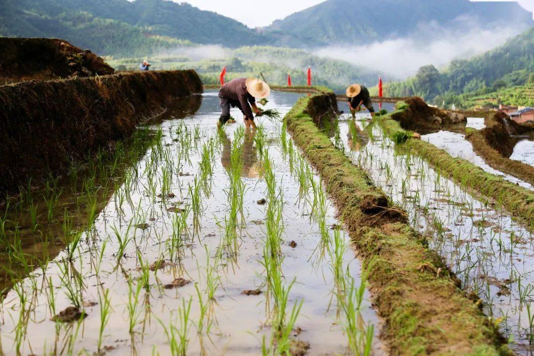 闽天福地春耕图