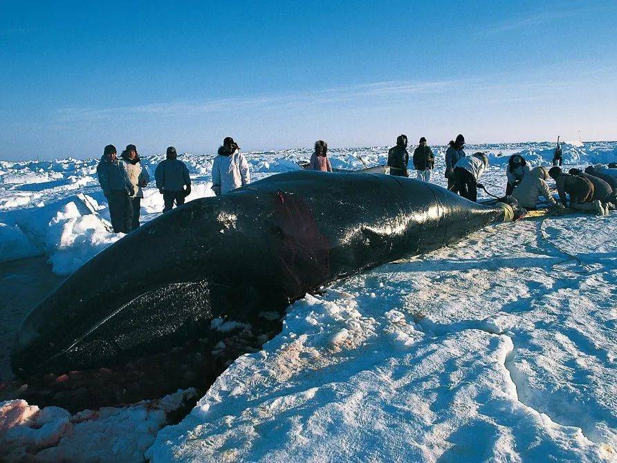 来自|死于永恒的时光之旅