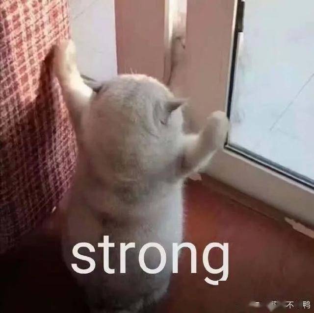 2df41fce50e8495caadde27ad09bab9d.jpeg