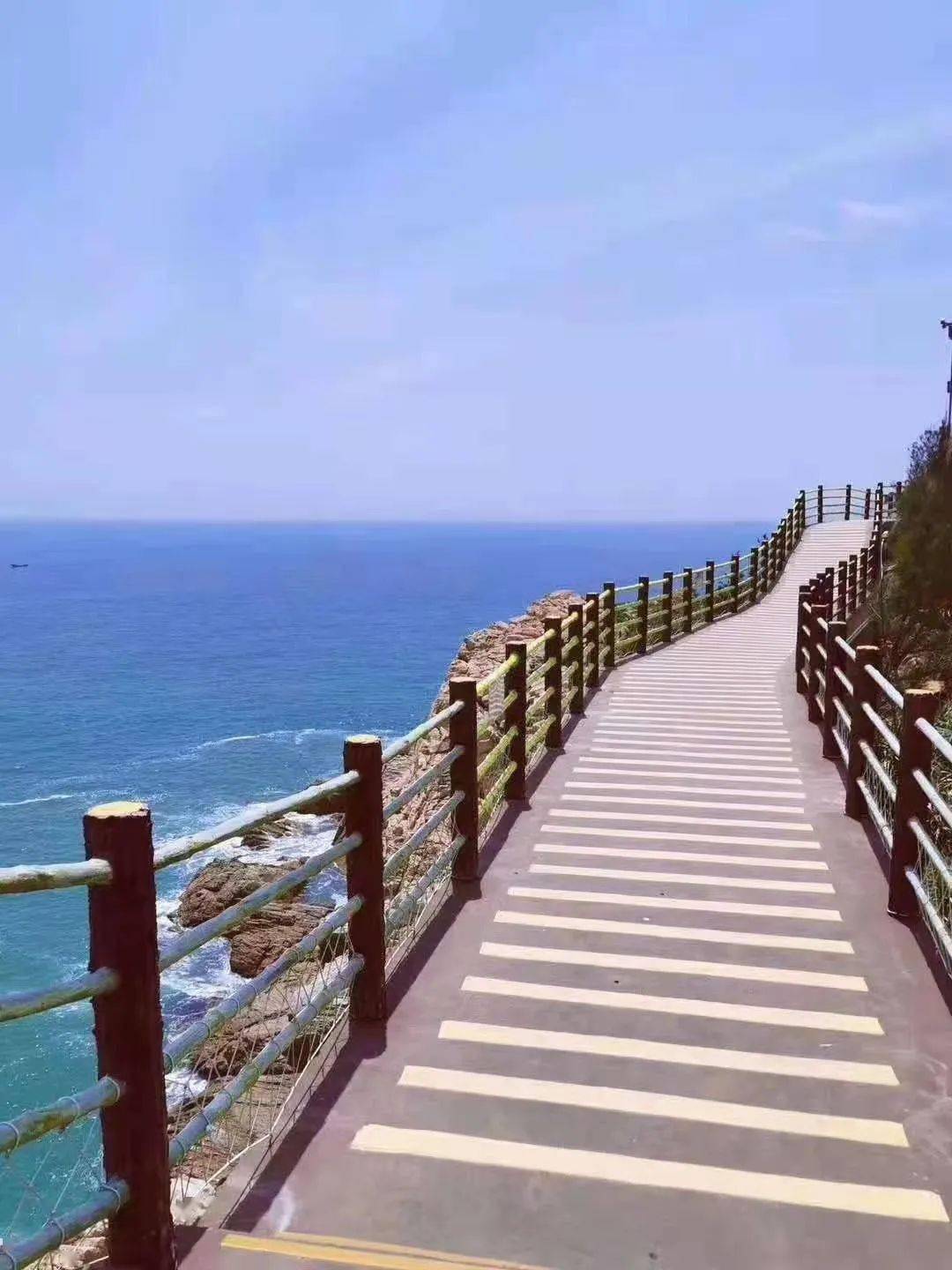 429非周末4月绿海龟上岸产卵啦春天的海龟湾每一帧都是壁纸逛西班牙