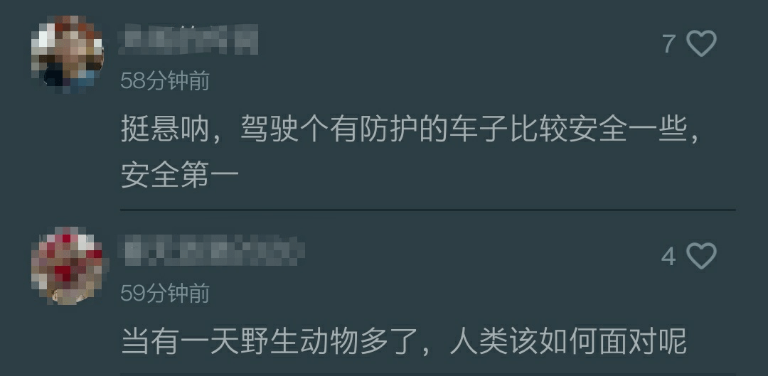 4b6bc05bbec44a4997c517f82dba70b2.png