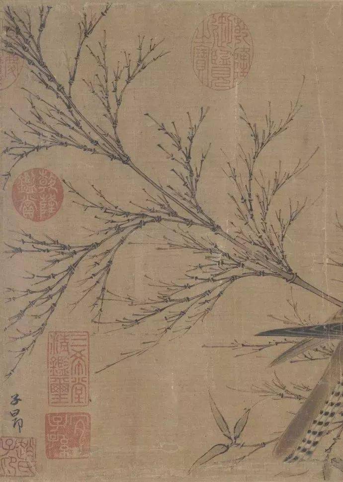 元赵孟頫幽篁戴胜图卷鉴赏