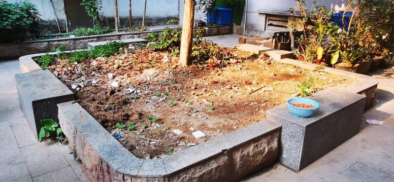 荒废花基种上葱郁绿植,广州市林业和园林局启动"双微"行动_改造