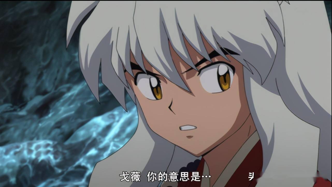 重生之我为桔梗桔梗重生之独宠桔梗 自媒体热点