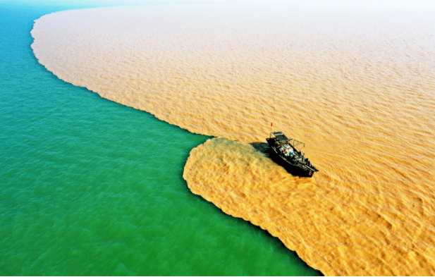 站在"两个一百年"奋斗目标的历史交汇点,勤劳质朴的山东人,正以敢于