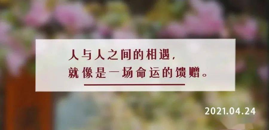 夜读丨人生三大幸事遇良师得良友拥良伴