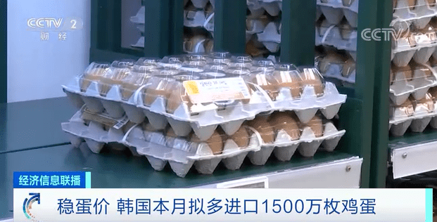 鸡蛋无疑是人们最常买的食材之一,然而居高不下的蛋价让不少韩国消费