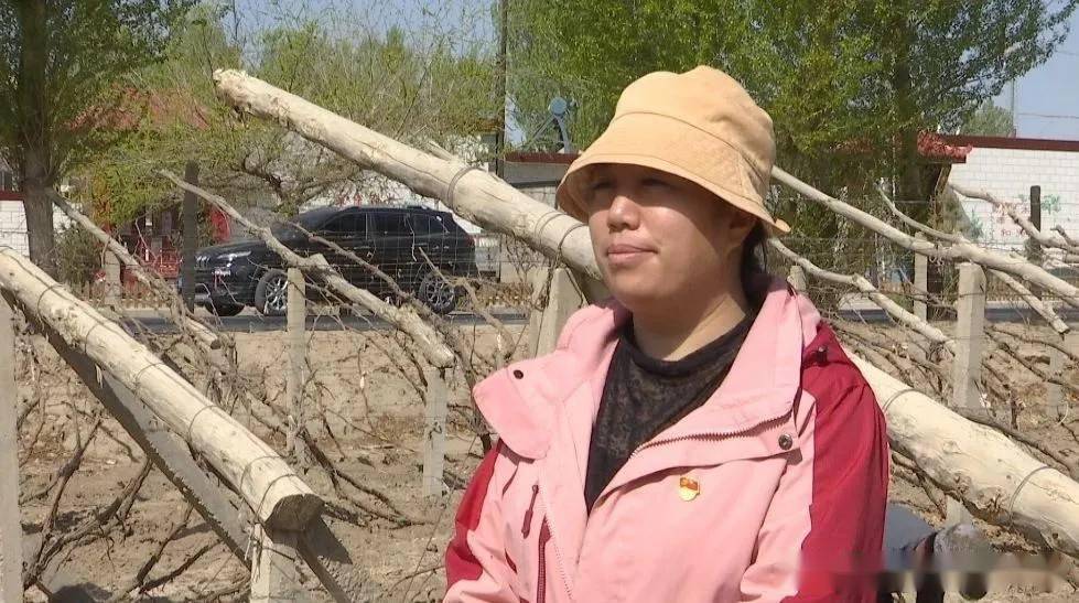 羊井子湾乡大泉湾村党支部副书记 王正萍:"我们