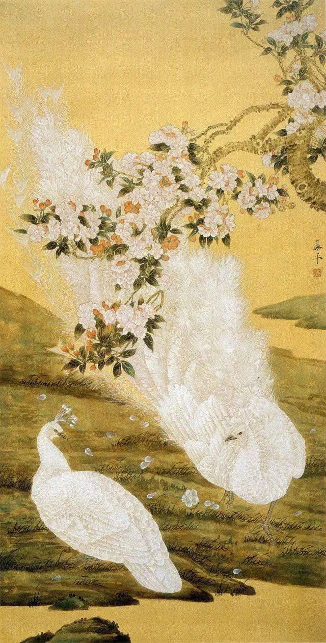 安华平工笔白孔雀作品吉祥美丽