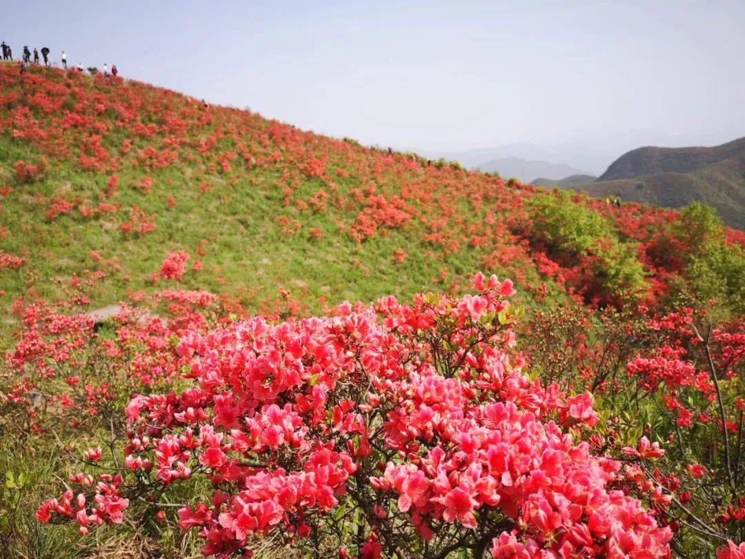 龙兄 摄 智仁太湖山,历史上曾称大安山,盘山,位于雁荡山北麓智仁乡