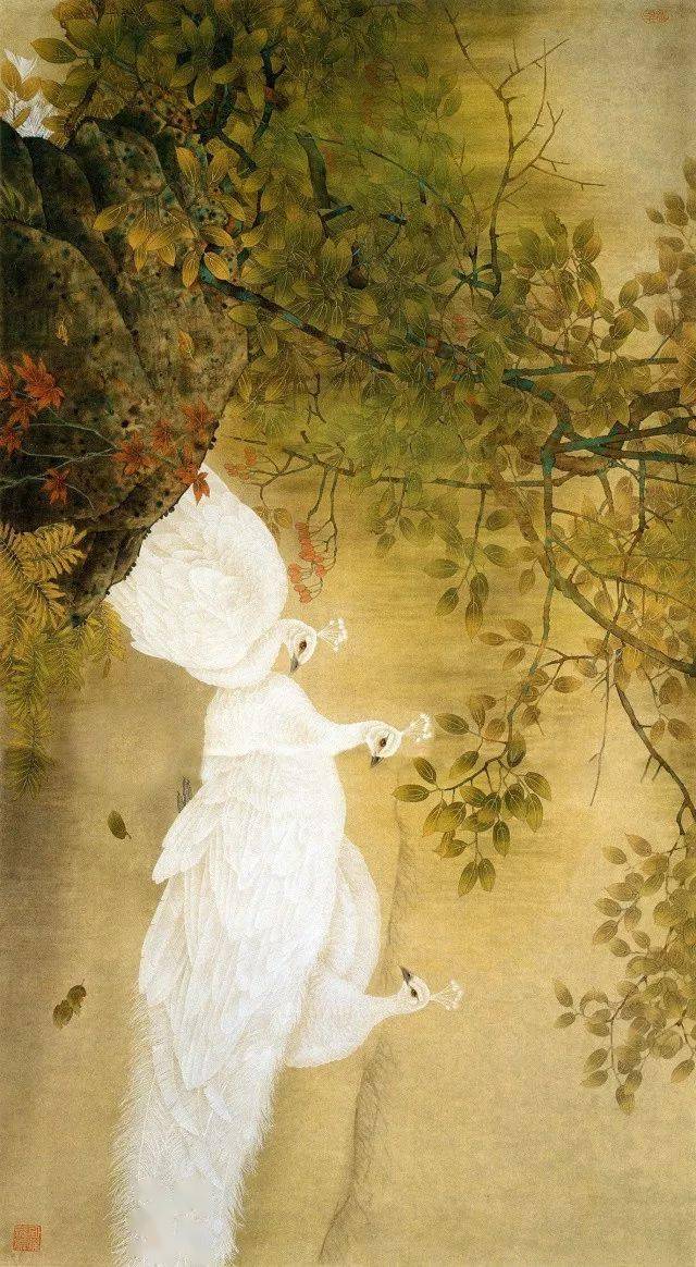 安华平工笔白孔雀作品吉祥美丽