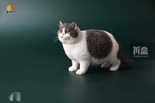 jxk.studio 1/6 肥猫系列 猫咪动物仿真模型 迷你gk摆件