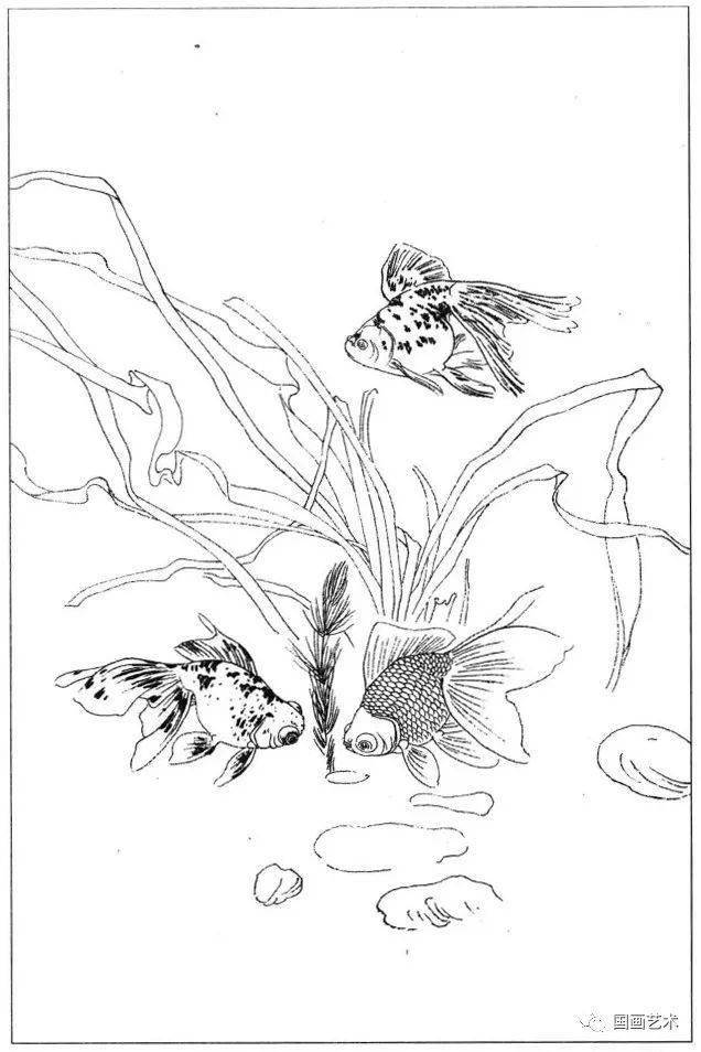花鸟鱼虫白描画谱分享