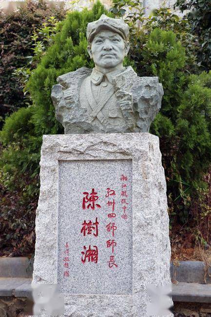 学习进行时_陈树湘