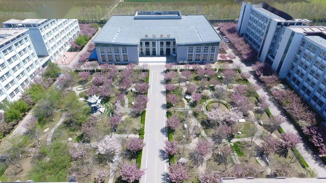 这里有你的星辰大海诸城一中又火了