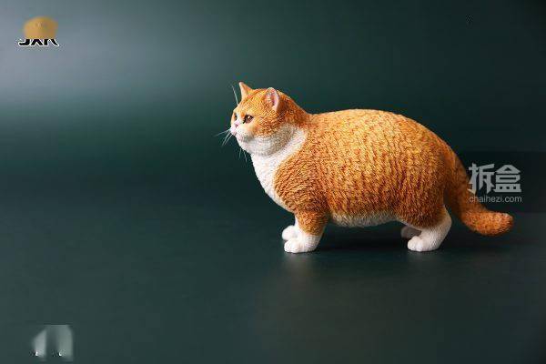 jxk.studio 1/6 肥猫系列 猫咪动物仿真模型 迷你gk摆件