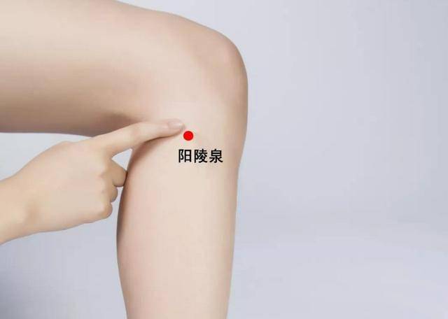 《灵枢·邪气藏府病形篇》中说"筋急,阳陵泉主之",阳陵泉穴作为胆经的