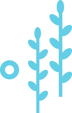 69150eaca086462d9d003edc16d068c1.png