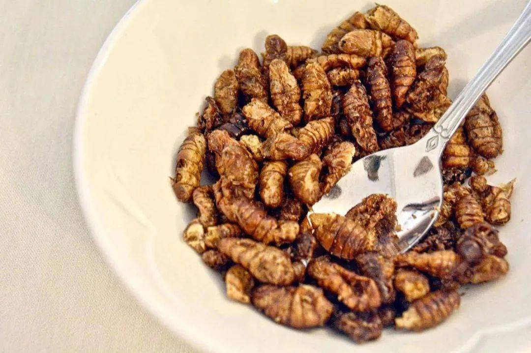 蟑螂奶才是续命大触