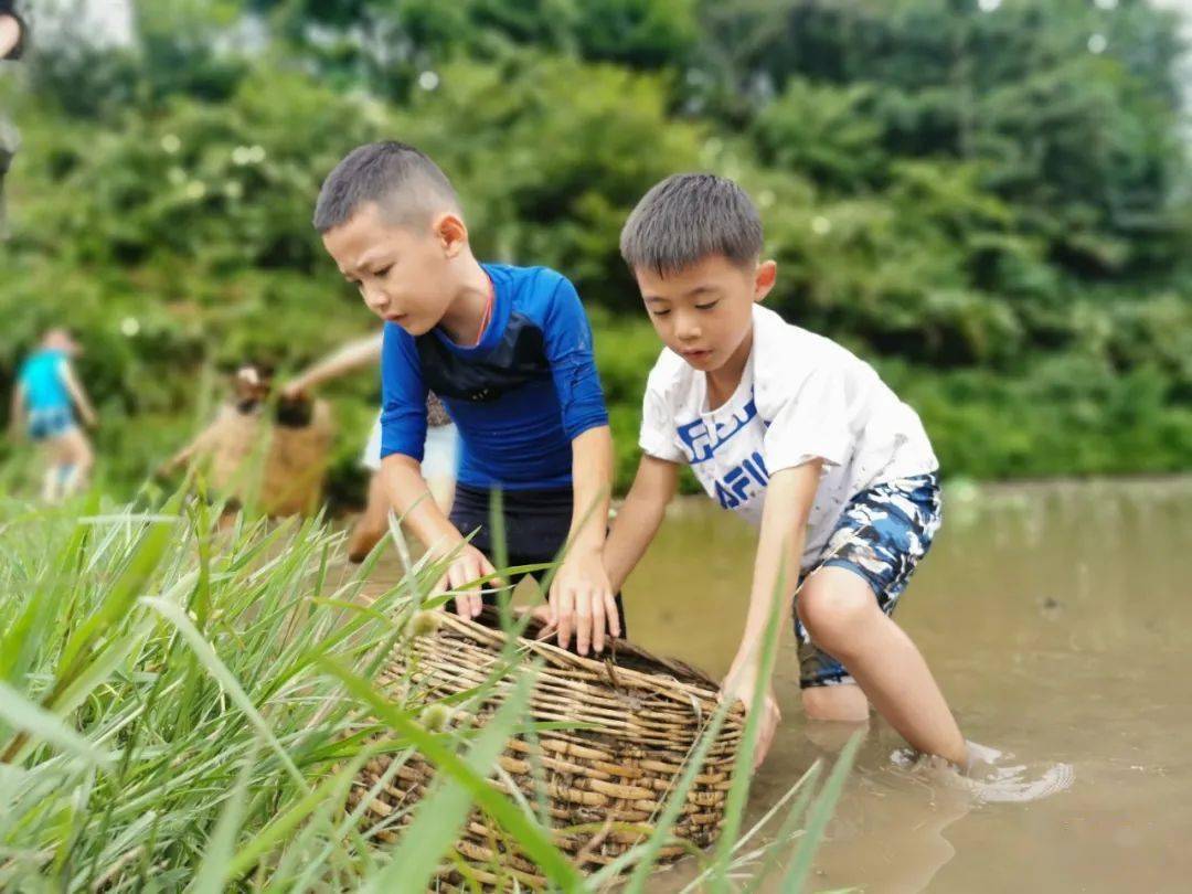 关键词:稻田捉鱼|苗族d2苗寨生活体验石板路边潺潺的小溪,房前屋后的
