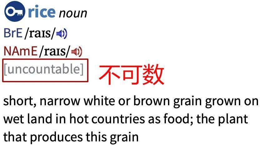 为什么米饭 rice 不可数,而面条 noodle 可数?