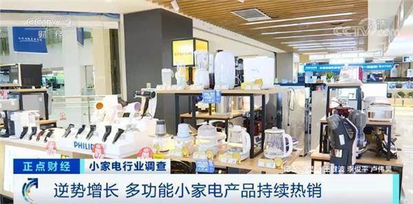 毛利率|这种小家电市场规模将翻100倍!这个行业有多赚钱?