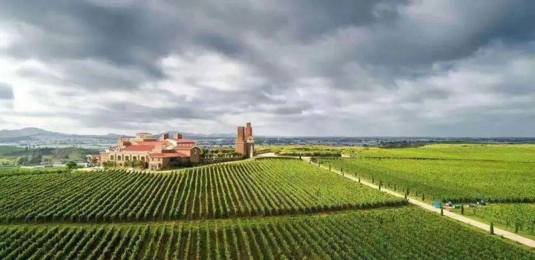 莱河大自然农场体验马背上的贵族生活,参观动物乐园;来到九顶庄园品鉴