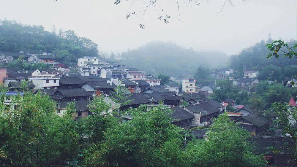 浦城九牧村常住人口_浦城地图(2)