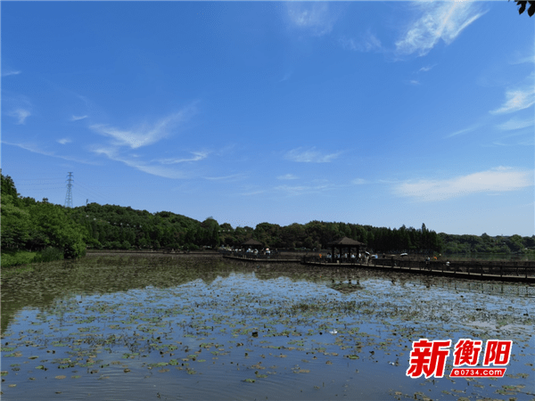 五一小长假:晴朗天气 如画风景 衡阳雁峰区乡村旅游火了