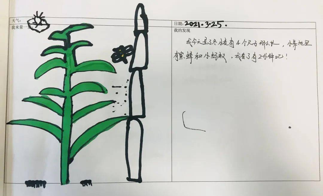 春日小菜园_测量