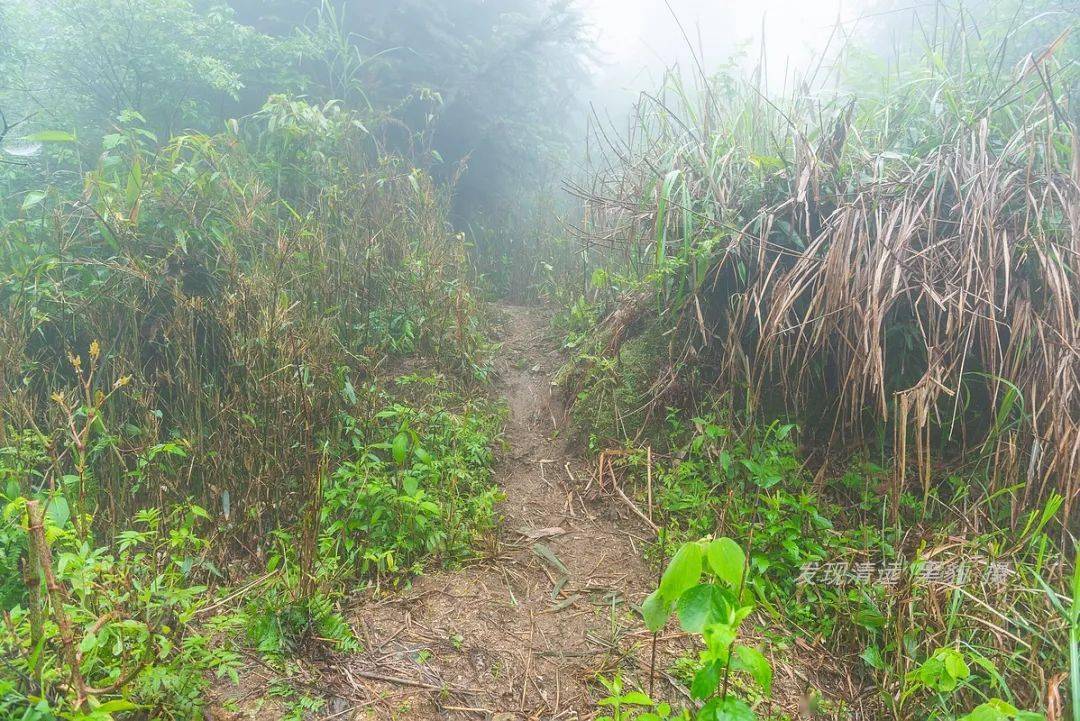 福山花场有多少人口(3)