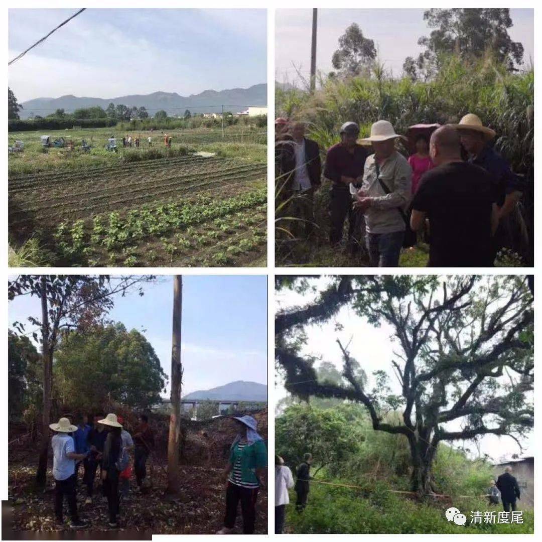 5月3日,仙游县委常委,政法委书记,副县长朱建阳深入木兰大道三期(大济