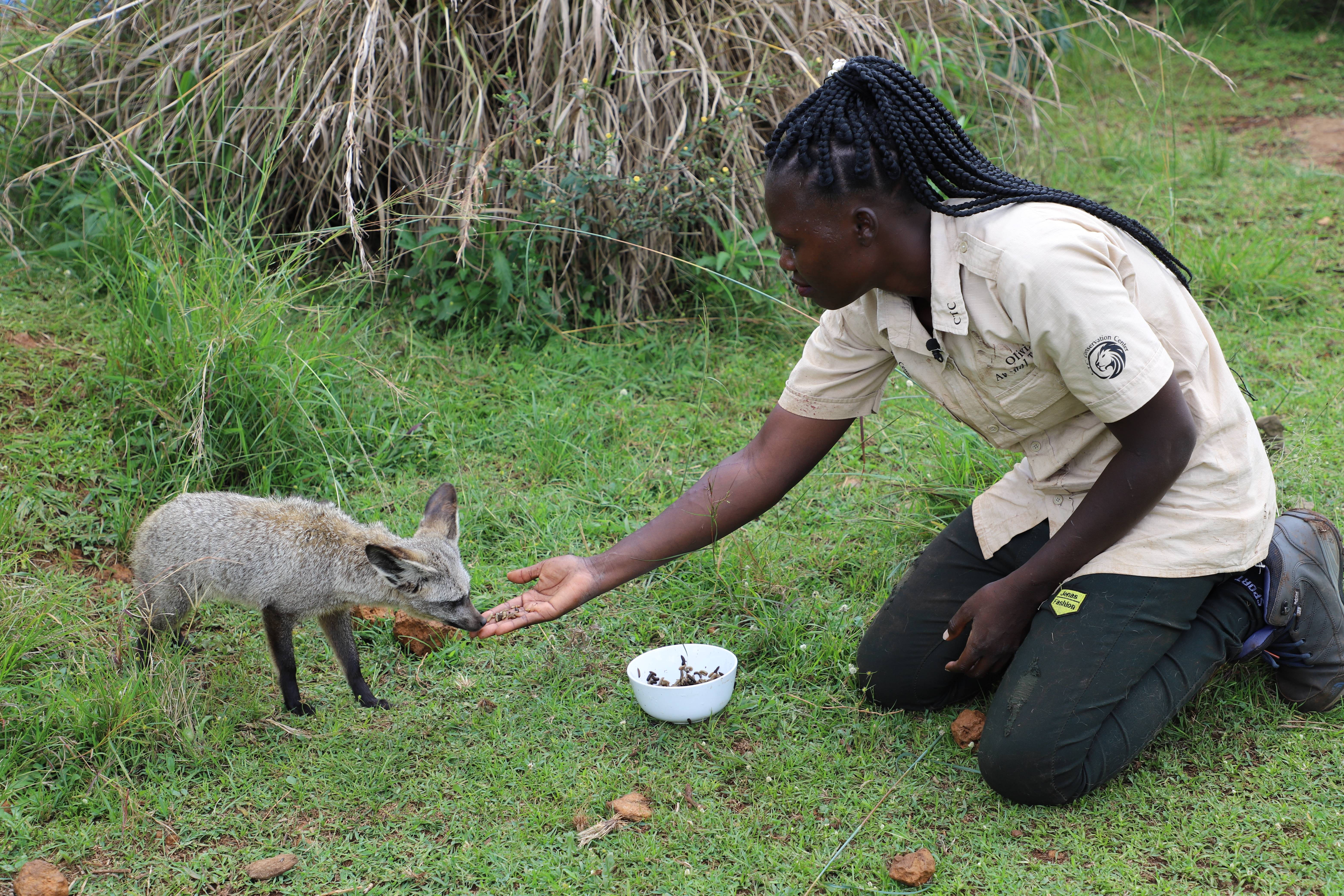 乌干达青年倡导人类与野生动物和谐相处