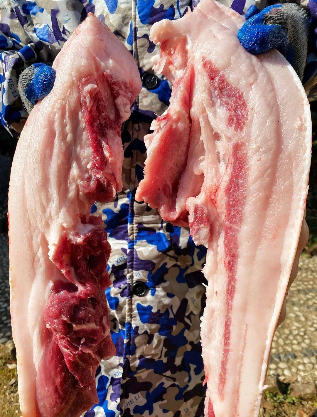 老许家鱼市餐厅开业有礼,先到"鲜"尝!