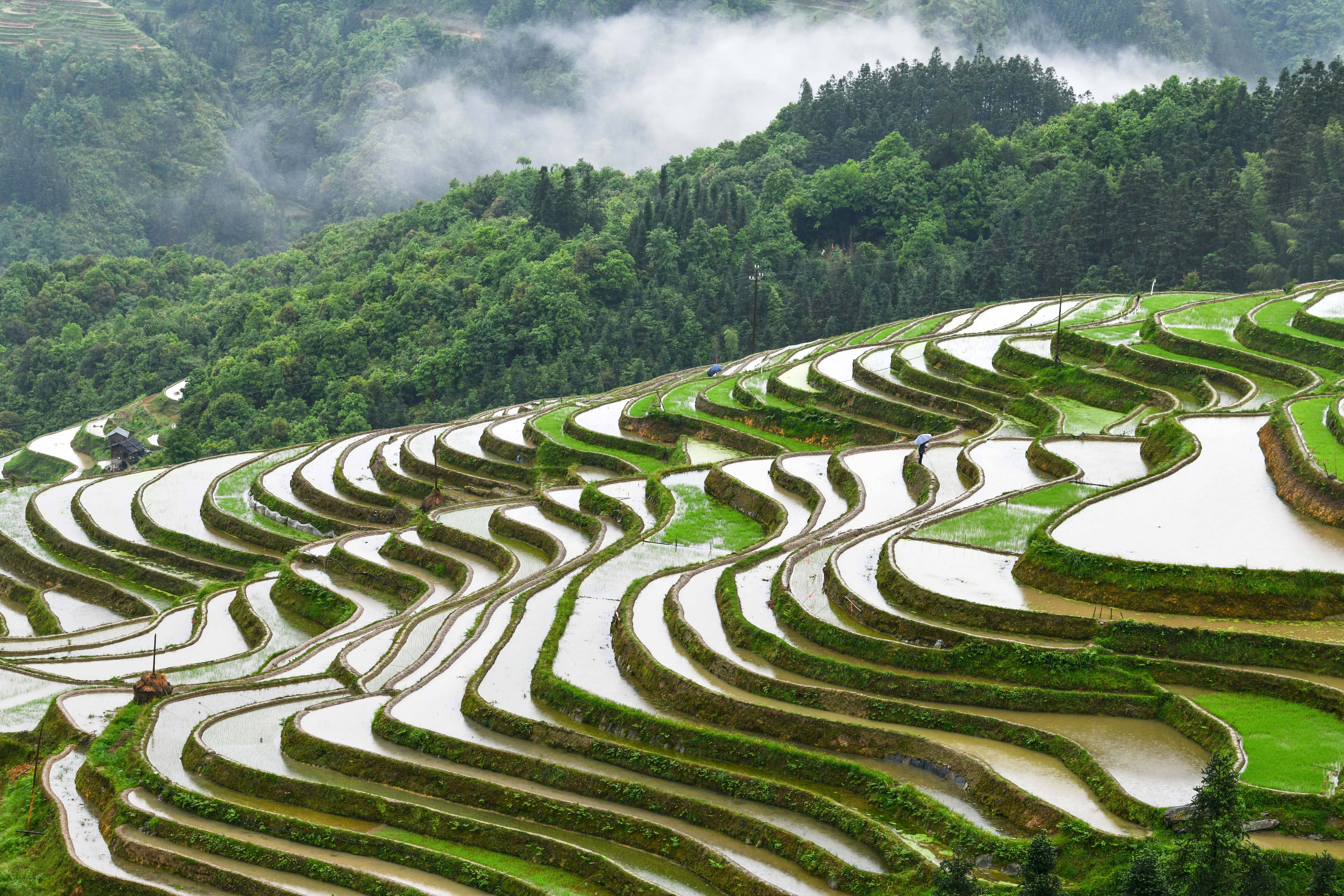 山区梯田风景图片图片