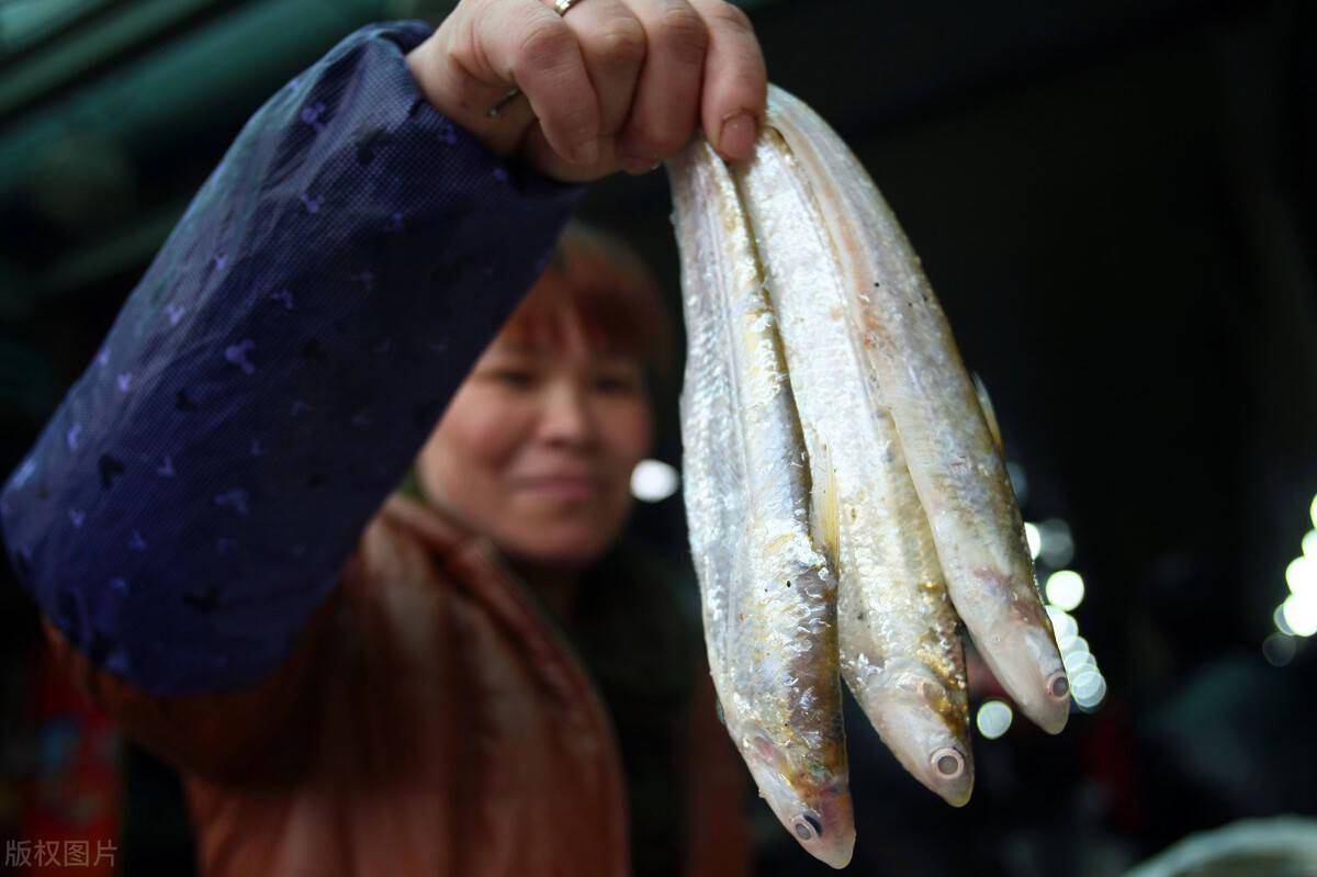 钱塘江的"病灶":刀鱼70年代就绝迹,"财江"也有生态病?