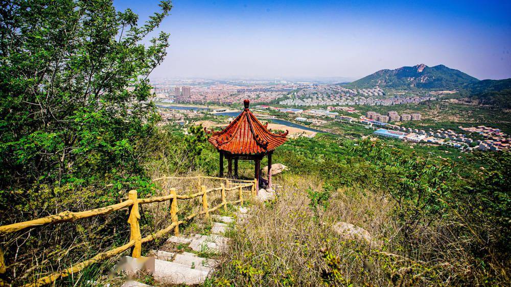 城阳惜福镇樱桃进入成熟期周末即可采摘