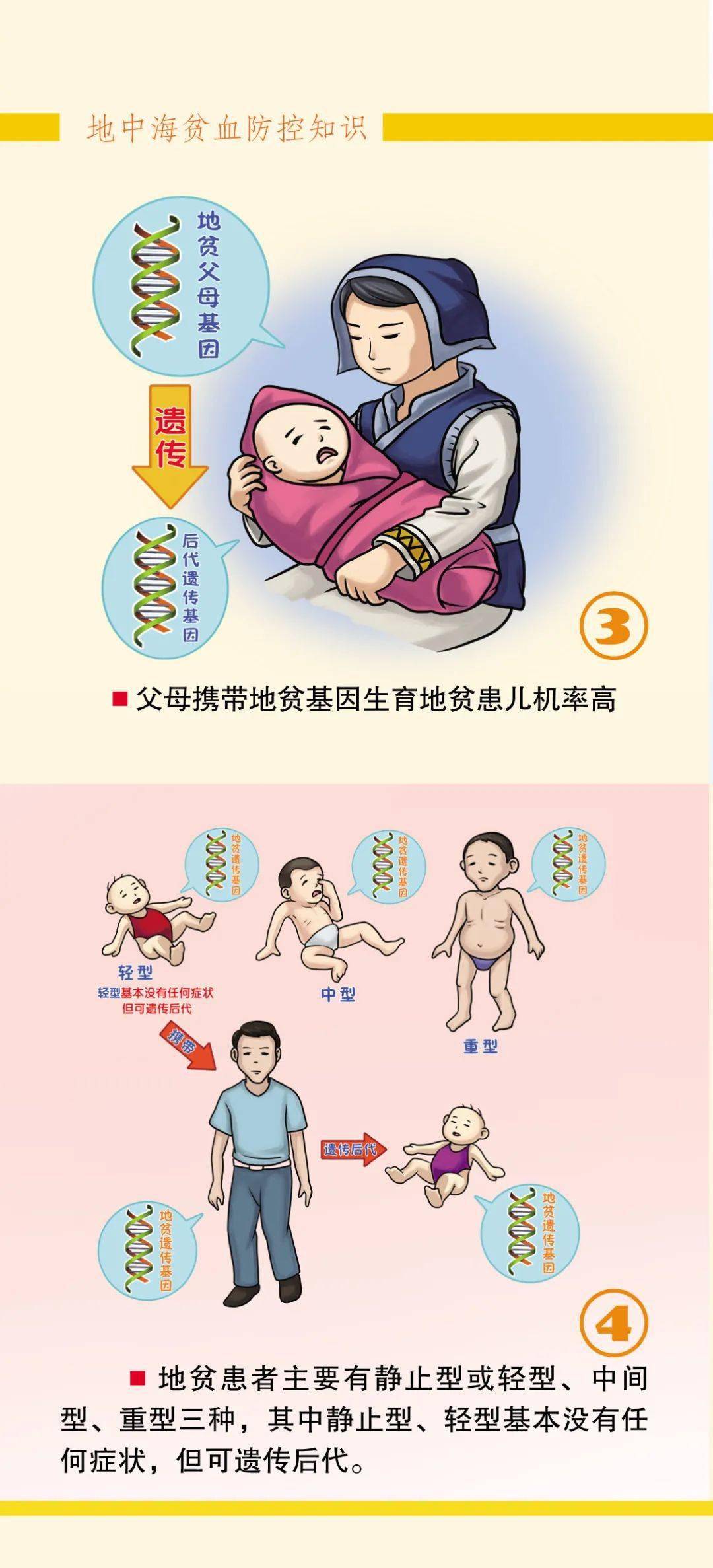 一图看懂地中海贫血防控知识