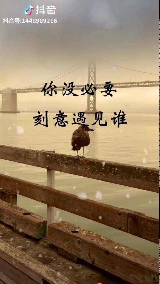 文字你还在挽留什么该离开的怎么挽留也挽留不住