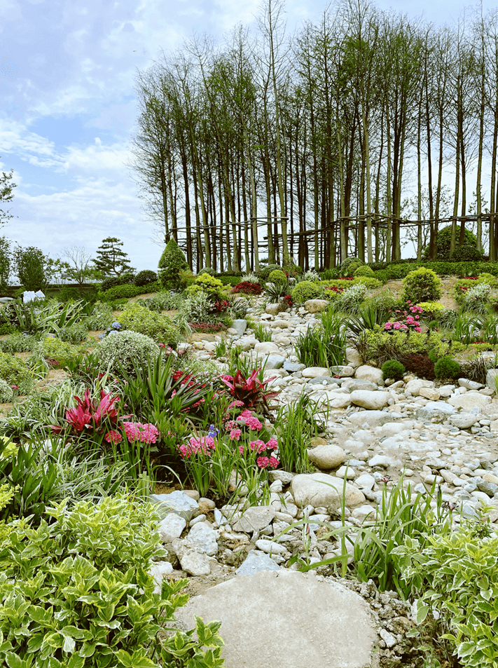 鳌江黄公望文化公园惊艳亮相_草坪