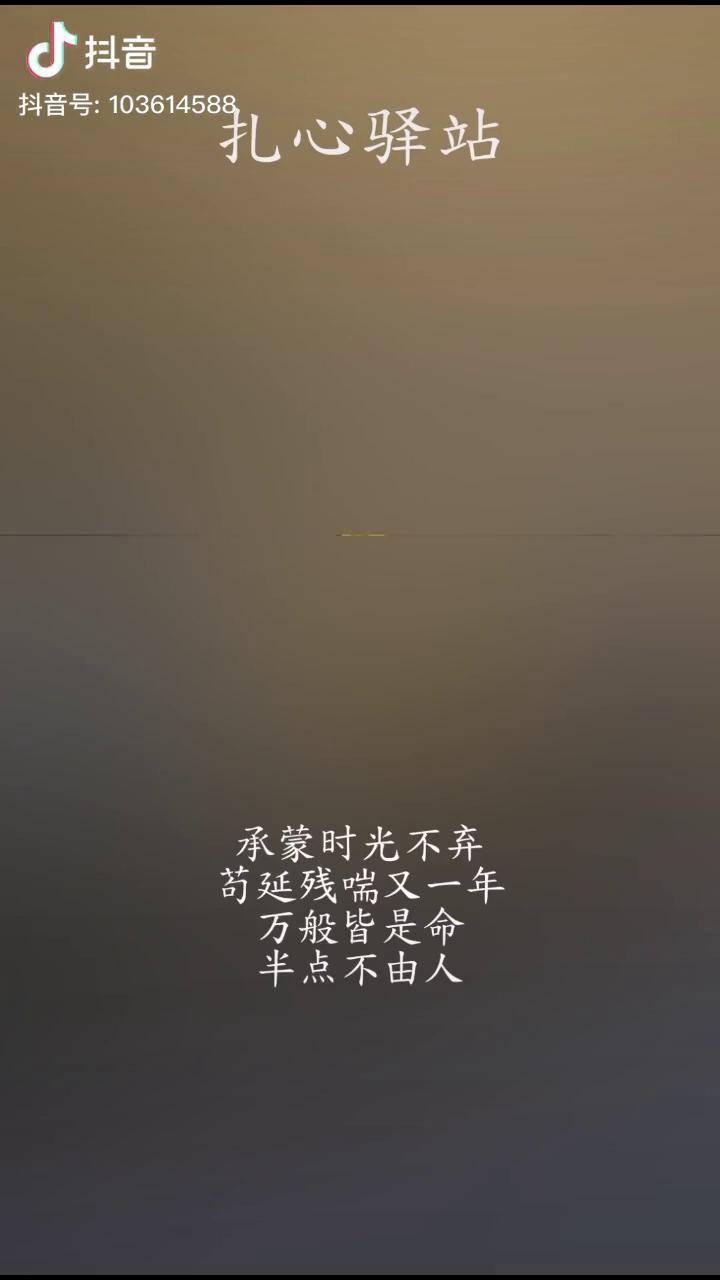 承蒙时光不弃苟延残喘又一年情感