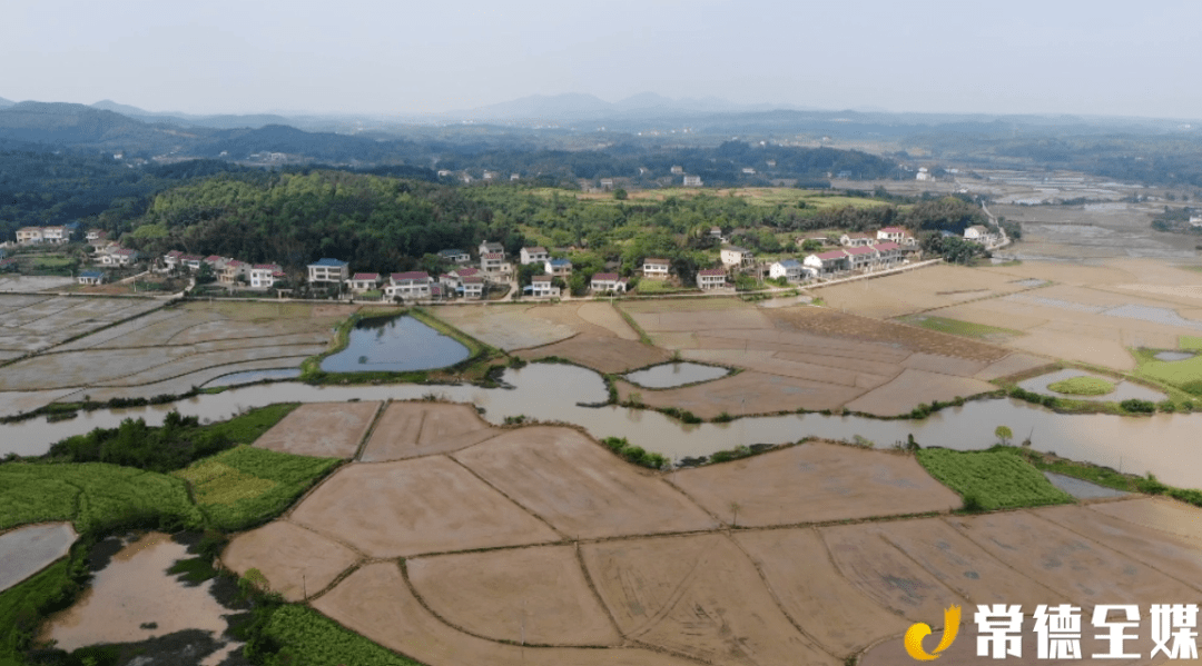 沅澧百镇千村行常德鼎城双桥坪镇稻油轮作果木香环保养殖效益高