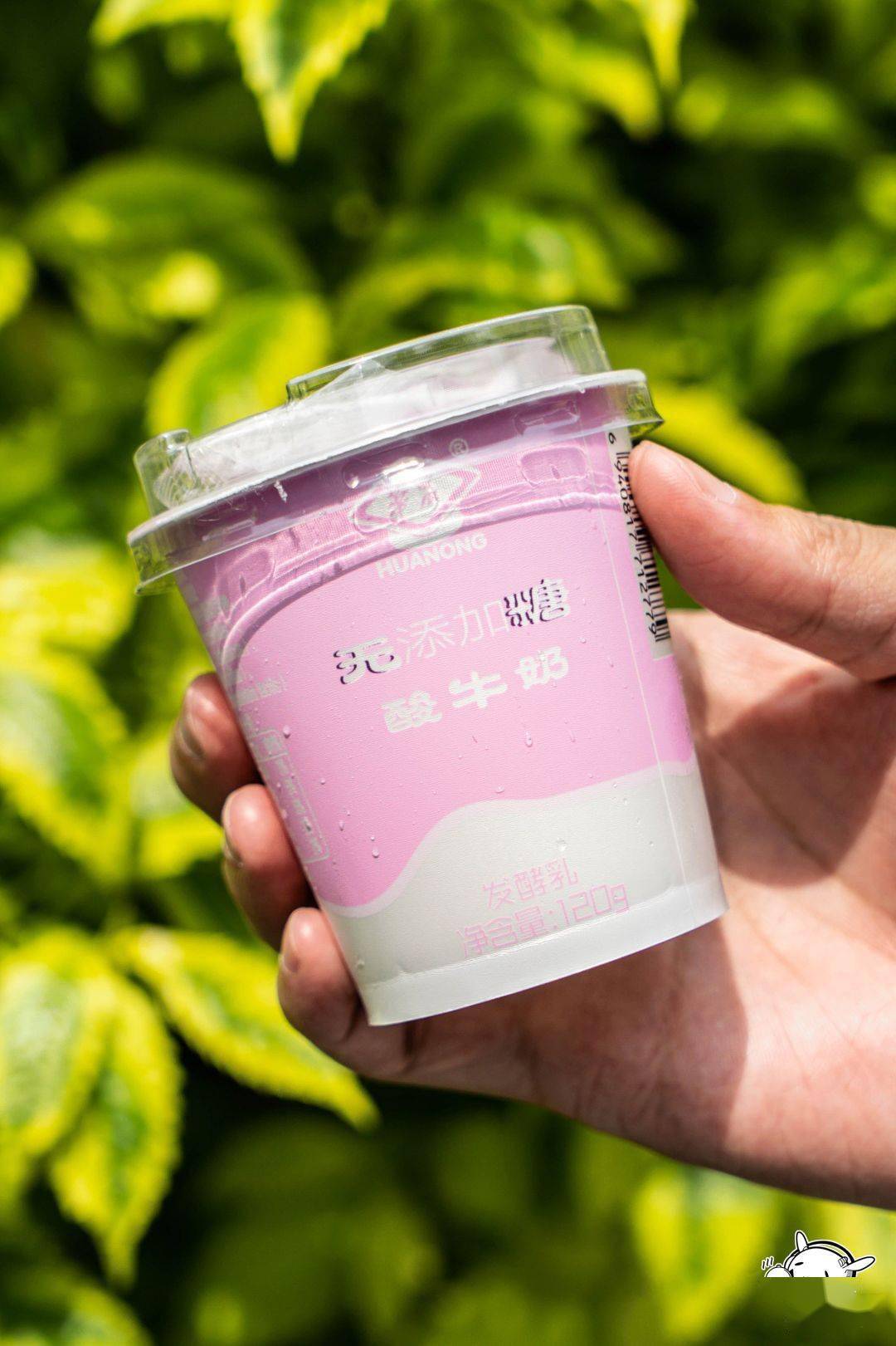 华农酸奶粉色图片