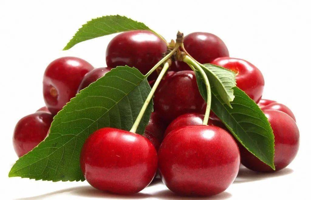 樱桃琥珀哪里拍摄 6f53164a9e3b497d8b67c902286dc49c.jpeg