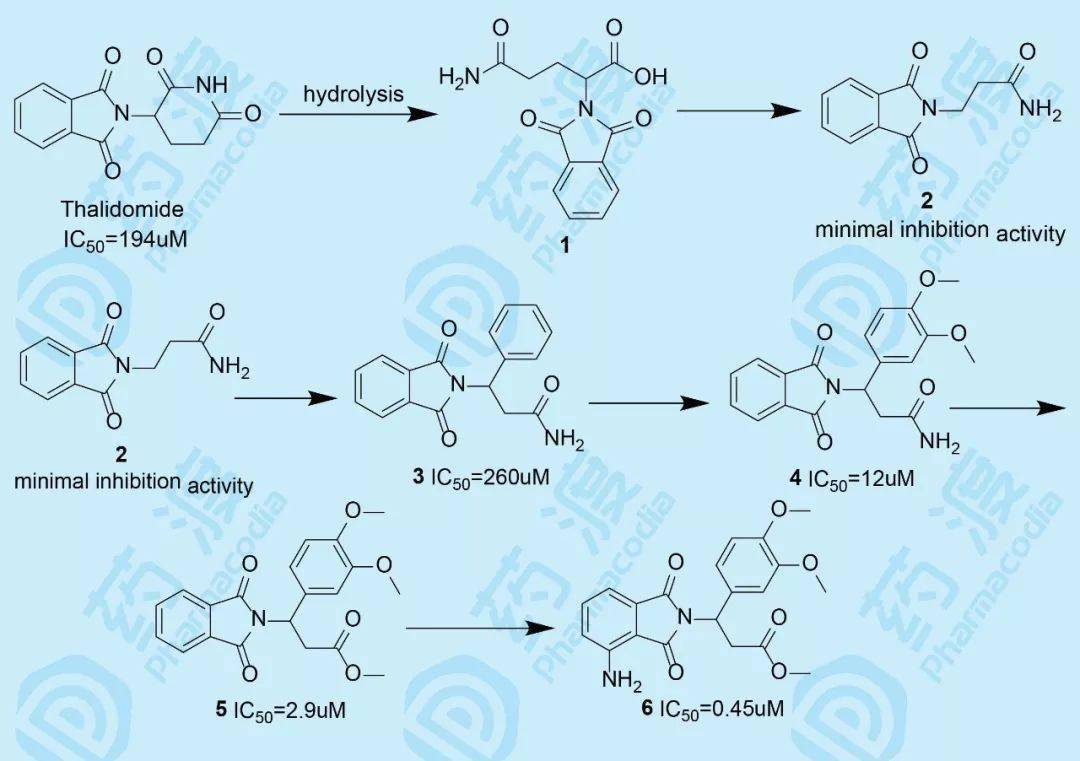 沙利度胺作为谷氨酸的合成衍生物,由戊二酰亚胺环和邻苯二甲酰亚胺环