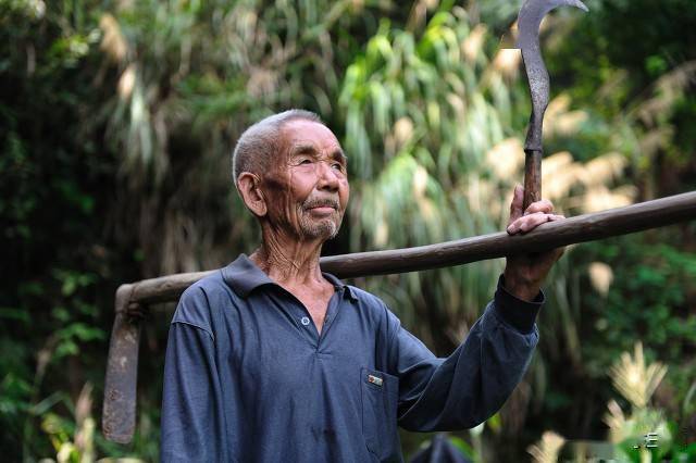 農村73歲老人兒子因車禍離世孤獨生活孫子能有義務養老嗎