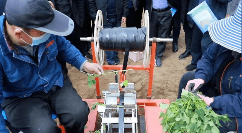 有了这台机器种红薯就轻松多了