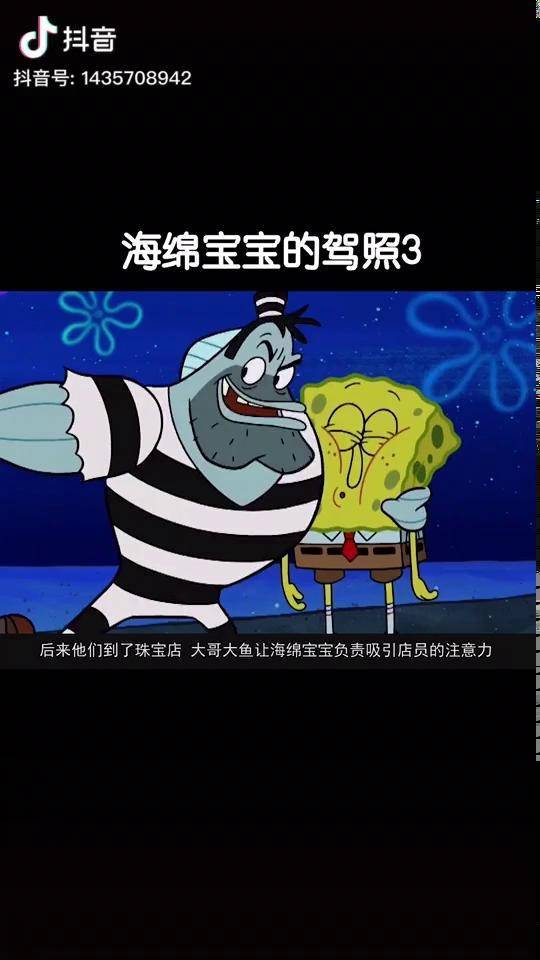 海绵宝宝终于可以有驾照了看看海绵宝宝的驾照是什么样子的吧动漫海绵