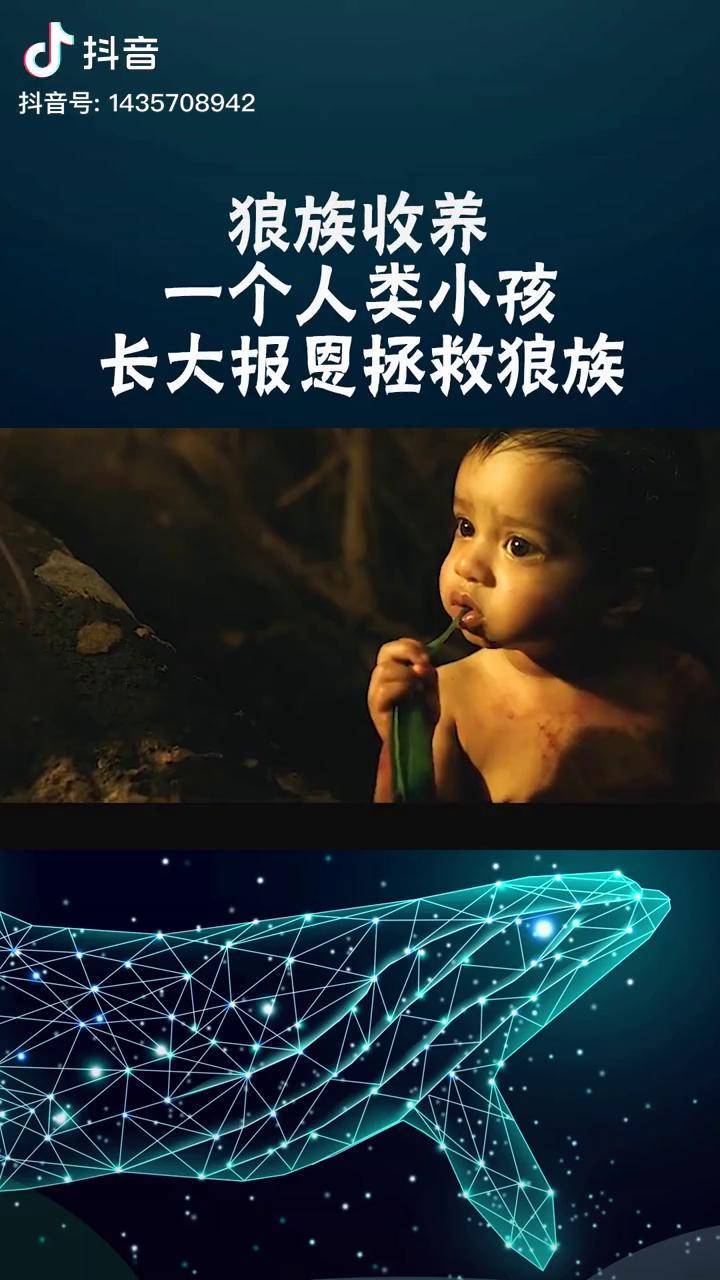 万物皆有灵性 森林之子毛克利 电影剪辑 狼孩